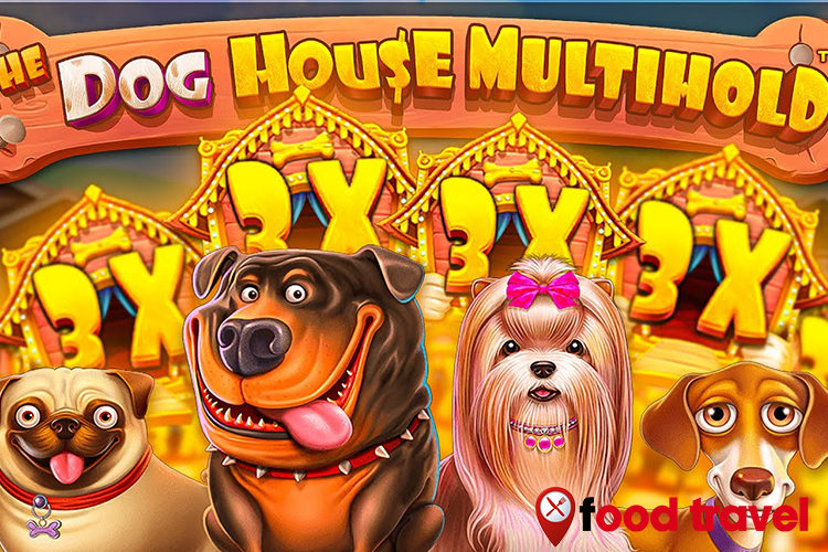 The Dog House: Pilihan Terbaik bagi Pecinta Slot Mania